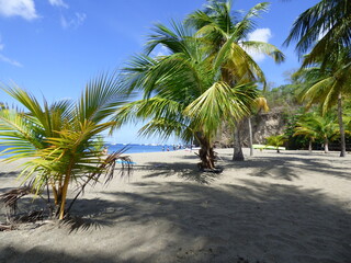 Obraz premium Schoelcher Plage de Madiana Martinique