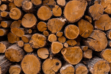 chopped wood in one heap