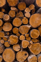 chopped wood in one heap