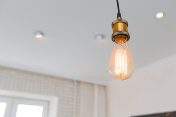 edison light bulb in the room