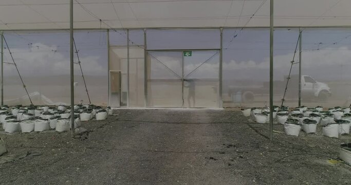 agricultura