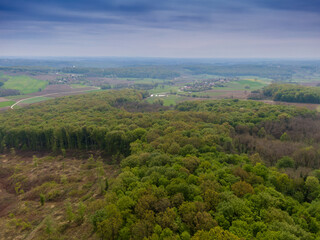 Beautiful forest on Bilogora, near village Zrinski Topolovac