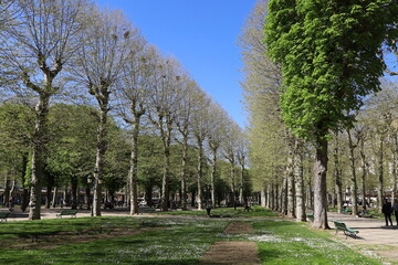 Le parc des sources, ville de Vichy, département de l'Allier, France