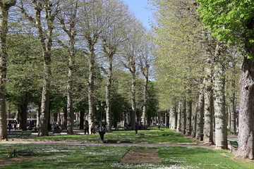 Le parc des sources, ville de Vichy, département de l'Allier, France
