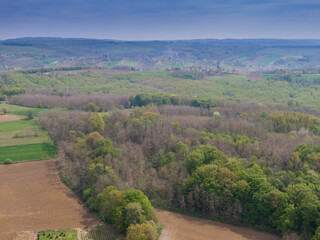 Beautiful forest on Bilogora, near village Zrinski Topolovac