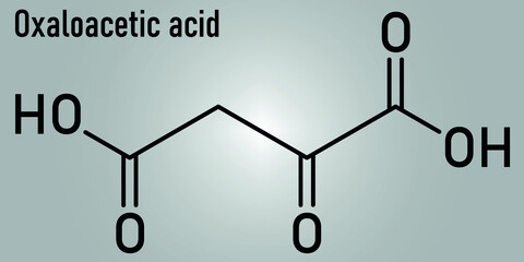 Oxaloacetic acid or oxaloacetate  metabolic intermediate molecule. Skeletal chemical formula.