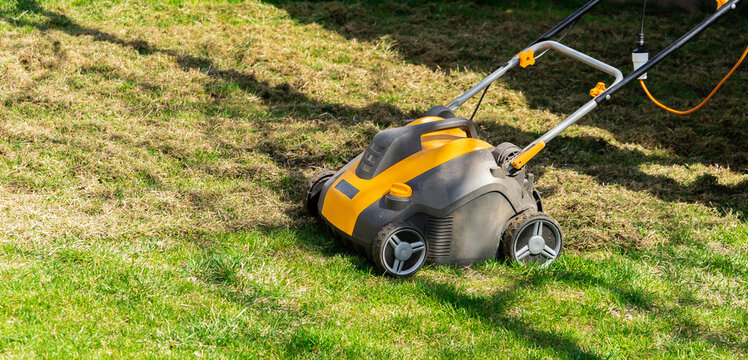 Dethatching the Lawn with an Electric Dethatcher