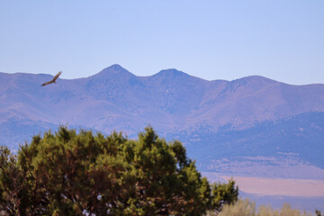 lake tahoe state