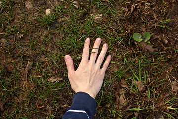 Young male hand and ground with green spring grass. Photo was taken 21 April 2022 year, MSK time in Russia.