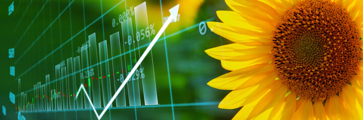 Global food crisis crop of sunflower. Embargo and sanction for export for Sunflower oil and seed....