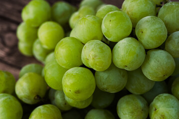 瀬戸ジャイアンツ 桃太郎ぶどう
