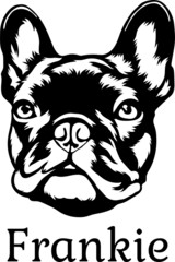  Frankie Black White vector