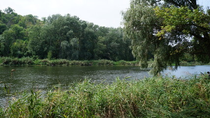 River in summer. Ukraine. Severskiy Donets