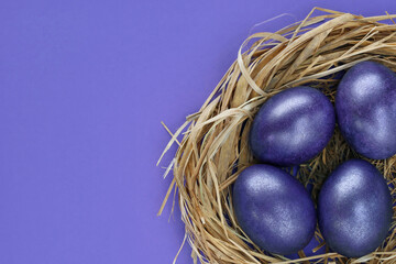 Four 4 Easter violet eggs in nest made of dry grass on purple paper background. Colored Easter eggs shiny very peri trendy color of 2022 year. Greetings card for easter holiday. Place for your text.
