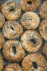 Close-up of freshly baked everything bagels with selective focus and intentional background blur.