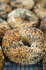 Close-up of freshly baked everything bagels with selective focus and intentional background blur.
