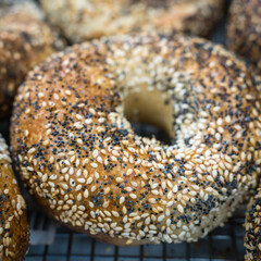 Close-up of freshly baked everything bagels with selective focus and intentional background blur.