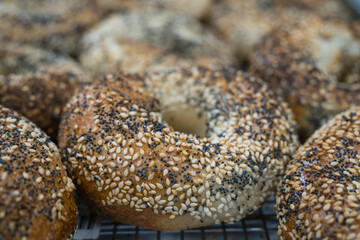 Close-up of freshly baked everything bagels with selective focus and intentional background blur.