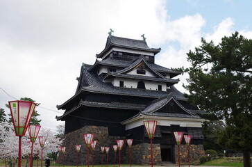 桜の花と松江城