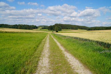 a scenic endless road leading through the green fields of the gorgeous Bavarian countryside in Birkach on a sunny summer day with fluffy white clouds in the blue sky (Bavaria, Germany)	