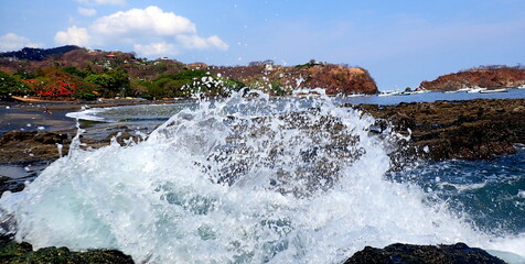 Costa Rica Pacific sea life