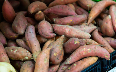 Raw sweet potato in box on farmers market