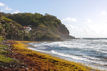 beach in the morning
