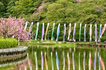 pond with flowers
