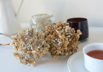 Close up of dried hydrangea flowers on table with tea cup, candle and jug in background (selective focus)