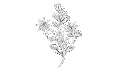 Orange fruit with a leaves coloring page.