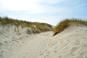 Fototapeta na wymiar Nordsee Strand auf Langeoog, Strand auf Insel Langeoog, Langeoog Strand und Dünen