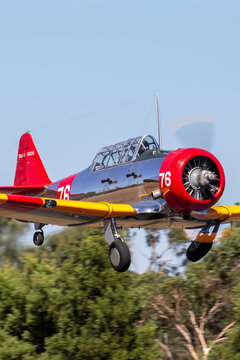 Tyabb, Australia - March 9, 2014: North American AT-6C Harvard VH-NZH single engine military training aircraft in US Navy markings from World War II.