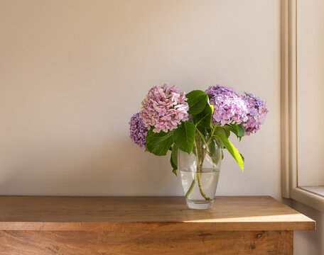 Pink and purple hydrangeas in glass vase on oak side table next to window sill with bright sunshine (selective focus)