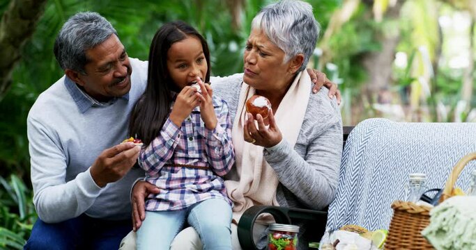 Enjoying a picnic feast of their own at the park. 4k video footage of grandparents having a picnic with their little granddaughter at the park.