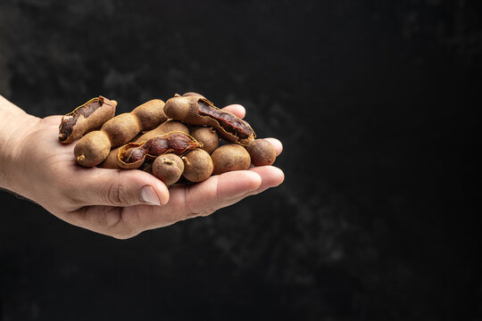 male hands holding Tamarinds set beans in shell on a brown butchers block on a dark background, Tropical healthy fruits. banner, menu, recipe place for text