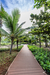 Obraz premium Landscape of Tianya Haijiao Scenic Spot, Sanya City, Hainan Province, China