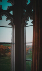 View From an Old Room
