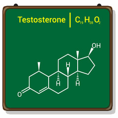 chemical structure of testosterone (C19H28O2)