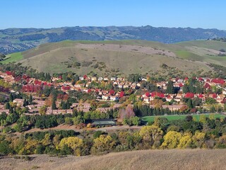 Aerial view of autumn colors in a California city