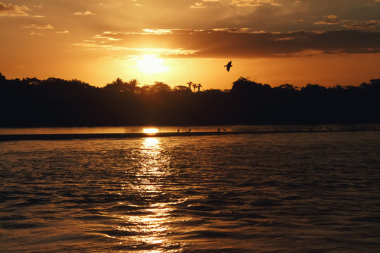 Birds flight at sunset in Teresina, Piaui, Brazil.
