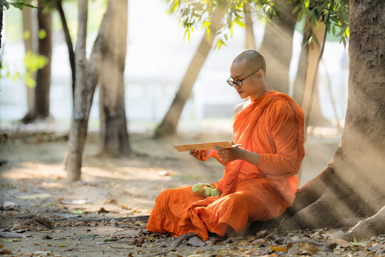 Buddhist monk in buddhism school monastery reading Buddhist lessen book
