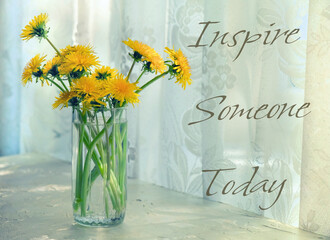 Inspire Someone Today text. Bouquet yellow dandelions in glass on table near window, summer still life.