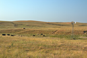 Cattle country in the Western Nebraska Sandhills