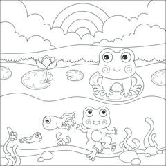 coloring frog life cycle