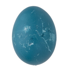 Blue egg isolated