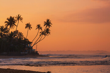 Tropical beach