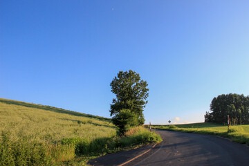 Fototapeta premium 農村の上り坂と青空 