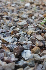 Close up of some garden rocky ground cover 