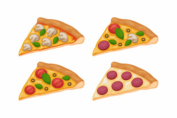 Pizza set . A collection of four slices of pizza with various fillings. Pizza with sausage, mushrooms, tomatoes and cheese. Vector illustration isolated on a white background