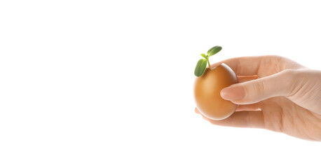Woman holding green seedling in eggshell on white background with space for text
